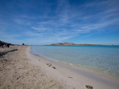 Holiday house Seaside Villa Retreat in Stintino - Environment photo 37