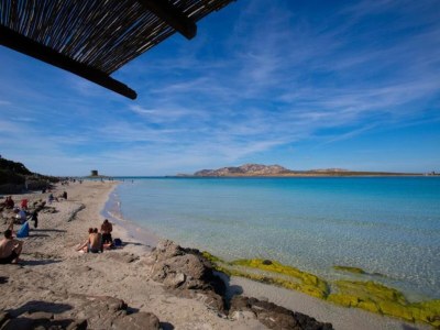 Holiday house Seaside Villa Retreat in Stintino - Environment photo 38