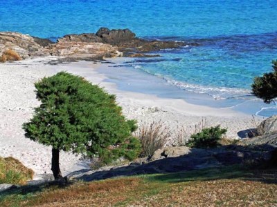 Holiday house Seaside Villa Retreat in Stintino - Environment photo 39