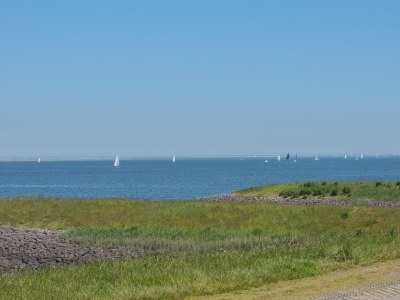Holiday park Detached House on Lake in Zeeland Holiday Park - Environment photo 26