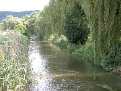 Holiday house Ferienhaus Altmühltal - Environment photo 18