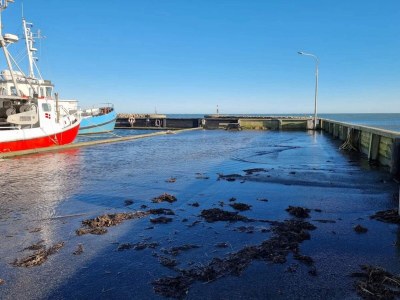 Holiday house 6 Personen Ferienhaus in Ålbæk-By Traum - Outdoor photo 23