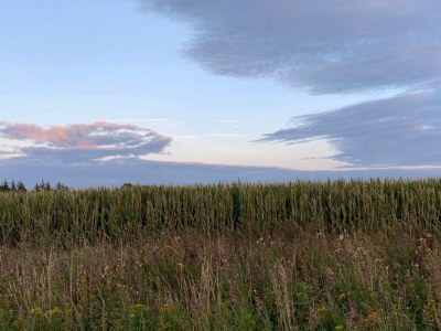 Holiday house Seaside Charm in Havneby - By Traum Ferienwohnungen - Outdoor photo 5