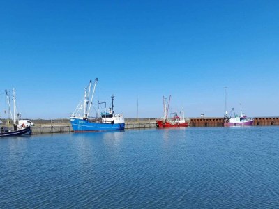 Holiday house Seaside Charm in Havneby - By Traum Ferienwohnungen - Outdoor photo 8