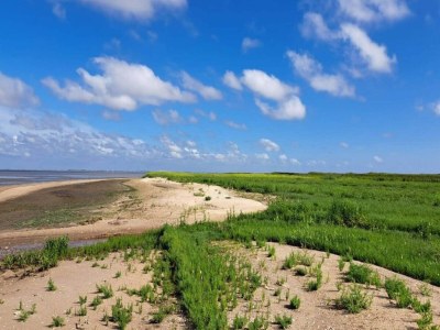 Holiday house Seaside Charm in Havneby - By Traum Ferienwohnungen - Outdoor photo 9