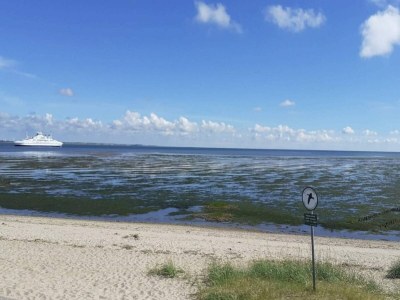 Holiday house Seaside Charm in Havneby - By Traum Ferienwohnungen - Outdoor photo 11
