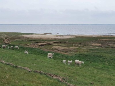 Holiday house Seaside Charm in Havneby - By Traum Ferienwohnungen - Outdoor photo 19