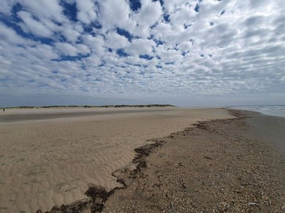 Holiday house 4 Sterne Ferienhaus in Rømø-By Traum - Outdoor photo 30