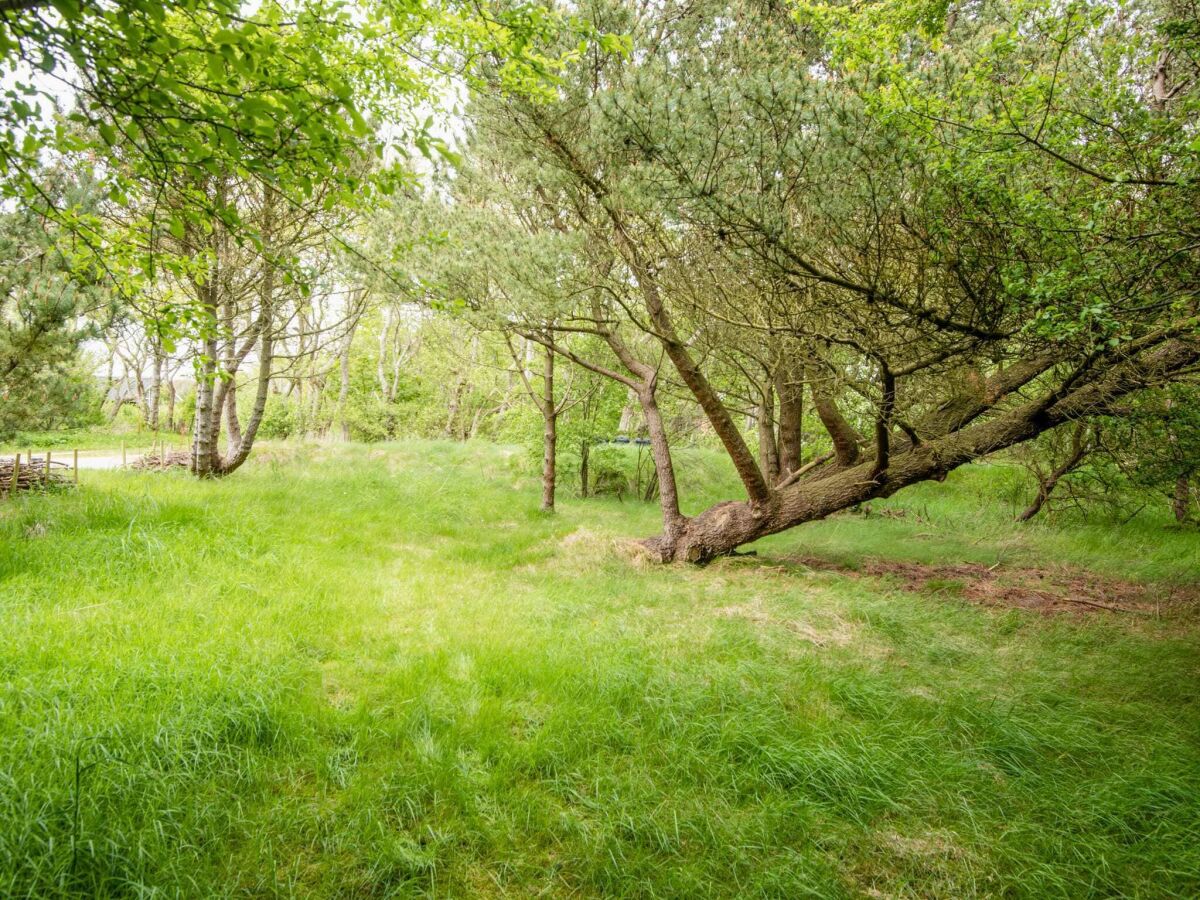Holiday house Verstecktes Refugium am Limfjord -- By Traum Ferienwohnungen - Outdoor photo 5