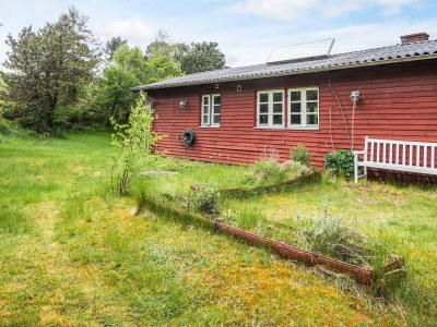 Holiday house Verstecktes Refugium am Limfjord -- By Traum Ferienwohnungen - Outdoor photo 3