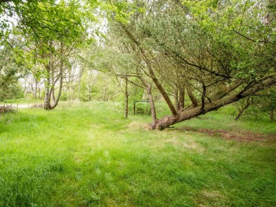 Holiday house Verstecktes Refugium am Limfjord -- By Traum Ferienwohnungen - Outdoor photo 5