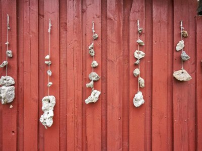 Holiday house Verstecktes Refugium am Limfjord -- By Traum Ferienwohnungen - Outdoor photo 8