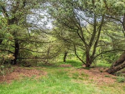 Holiday house Verstecktes Refugium am Limfjord -- By Traum Ferienwohnungen - Outdoor photo 11