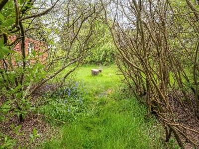 Holiday house Verstecktes Refugium am Limfjord -- By Traum Ferienwohnungen - Outdoor photo 12