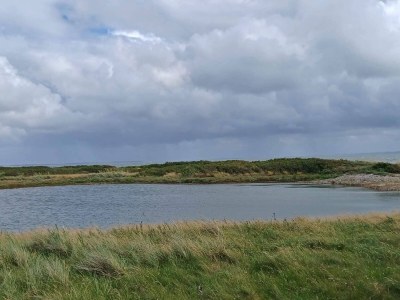 Holiday house Verstecktes Refugium am Limfjord -- By Traum Ferienwohnungen - Outdoor photo 31