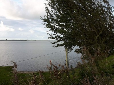 Holiday house Verstecktes Refugium am Limfjord -- By Traum Ferienwohnungen - Outdoor photo 32