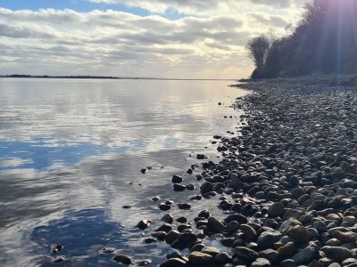 Holiday house Verstecktes Refugium am Limfjord -- By Traum Ferienwohnungen - Outdoor photo 33