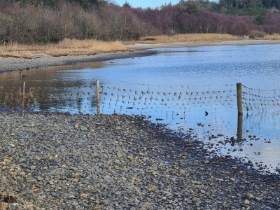 Holiday house Verstecktes Refugium am Limfjord -- By Traum Ferienwohnungen - Outdoor photo 34