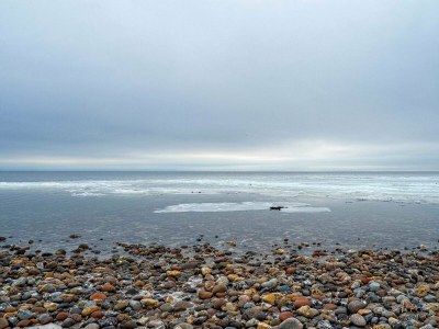 Holiday house Verstecktes Refugium am Limfjord -- By Traum Ferienwohnungen - Outdoor photo 37
