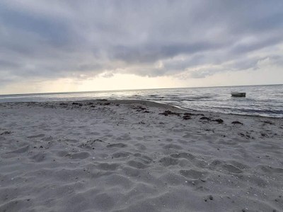 Holiday house 5 Personen Ferienhaus in Hals-By Traum - Outdoor photo 43