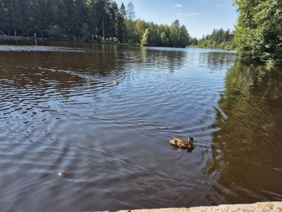 Holiday apartment No title - Outdoor photo 9