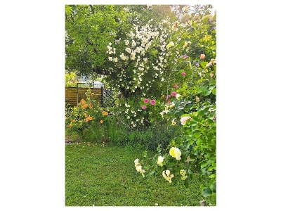 Holiday apartment No title - Outdoor photo 11