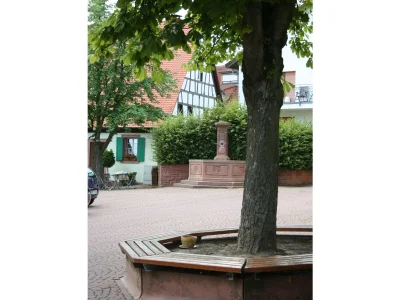 Castle Sickinger Hof - Outdoor photo 5