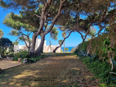 Holiday house Casa Lesandar - Environment photo 36