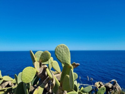 Holiday house Casa Lesandar - Environment photo 38