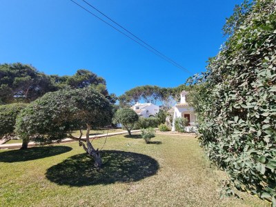 Holiday house Casa Lesandar - Environment photo 40