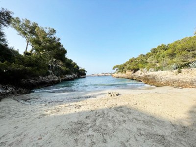 Holiday house Casa Lesandar - Document photo 41