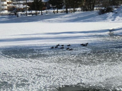 Apartment Apartment Neustift near Stubai Glacier - Environment photo 20
