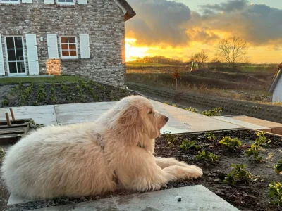 Holiday house Villa Heimathafen Rügen - Outdoor photo 7