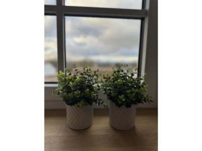 Holiday house Villa Heimathafen Rügen - Features photo 28