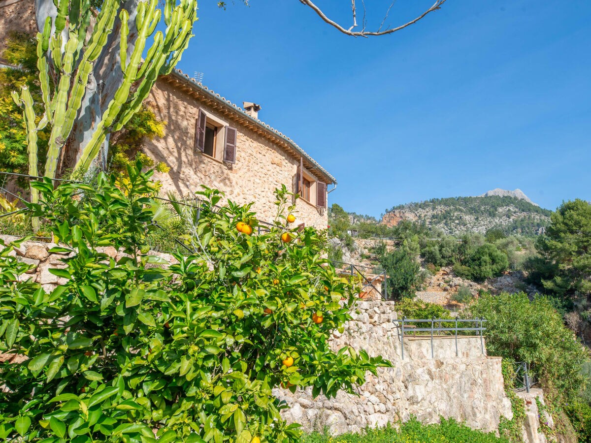 Holiday house SA TEULERA (FORNALUTX) - Outdoor photo 3