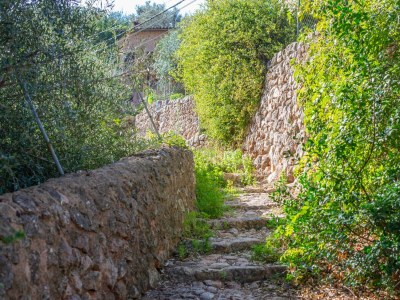 Holiday house SA TEULERA (FORNALUTX) - Outdoor photo 18