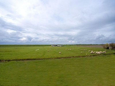 Holiday house Doppelhaushälfte in Karolinenkoog - Environment photo 23