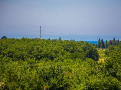 Apartment Garbina - Two-Bedroom Apartment No.2 - Environment photo 21