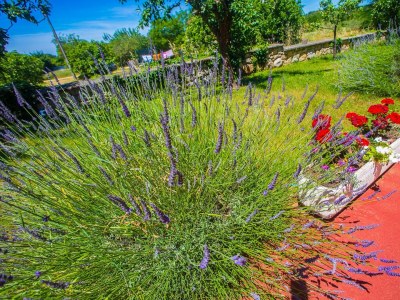 Apartment Garbina - Apartment No.3 on the Second Floor - Environment photo 20