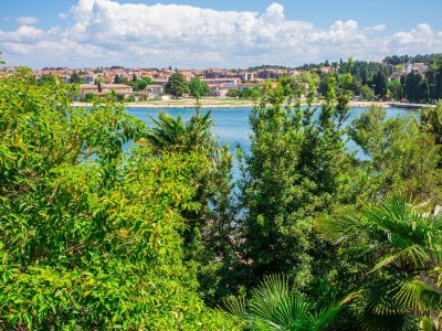 Apartment Old Town Apartment with Sea View in Poreč - Environment photo 19
