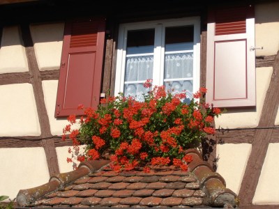 Holiday apartment The Alsatian half-timbered house - Outdoor photo 6