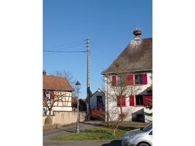 Holiday apartment The Alsatian half-timbered house - Outdoor photo 8
