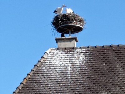 Holiday apartment The Alsatian half-timbered house - Outdoor photo 9