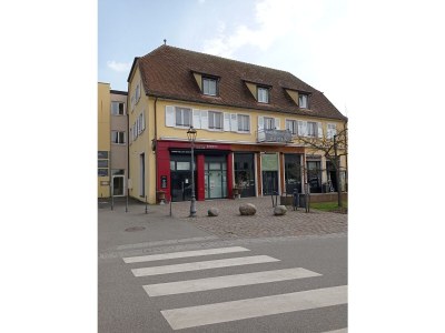 Holiday apartment The Alsatian half-timbered house - Environment photo 19