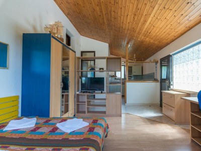 Apartment Apartment Complex Kadum 25 - Studio Kadum on the First Floor near Porec - Features photo 8