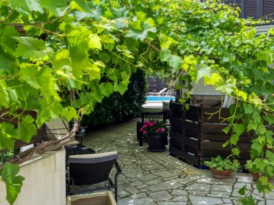 Apartment Villa Betiga - Apartment Istanbul A2 - Environment photo 15