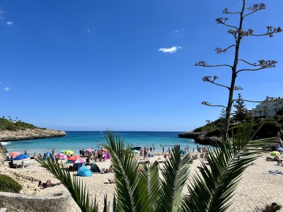 Holiday apartment Casa Dido - Environment photo 28