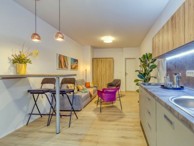 Apartment Studio Arta Volosko - Features photo 6