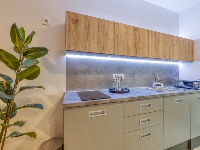 Apartment Studio Arta Volosko - Features photo 7