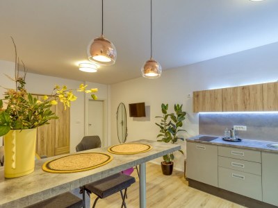 Apartment Studio Arta Volosko - Features photo 9